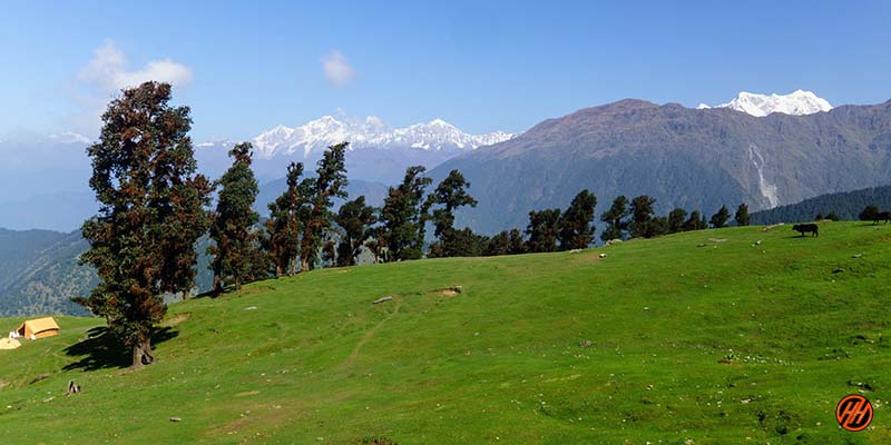 Beautiful Green Meadows in Deoriatal Chandrashila Trek