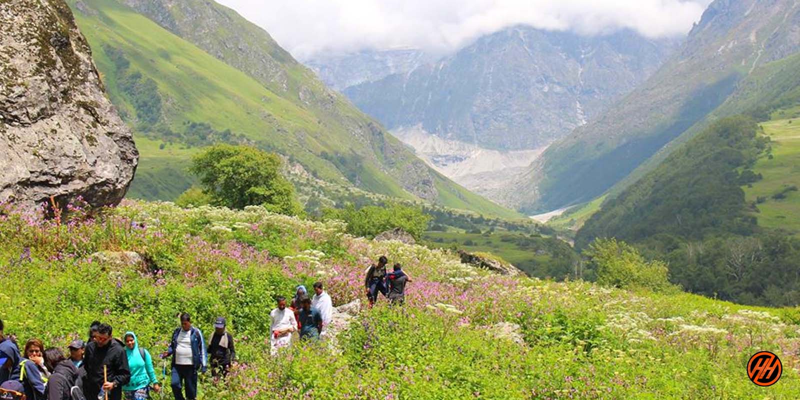 Valley of Flowers Trek