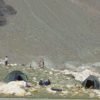 Kalindi Pass Trek Cost