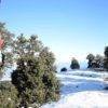 Nag Tibba Trek Guide
