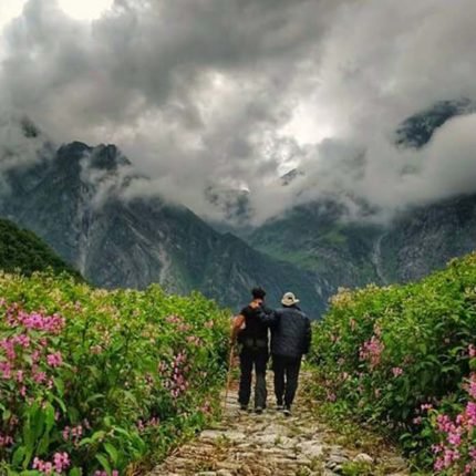 Valley of flowers