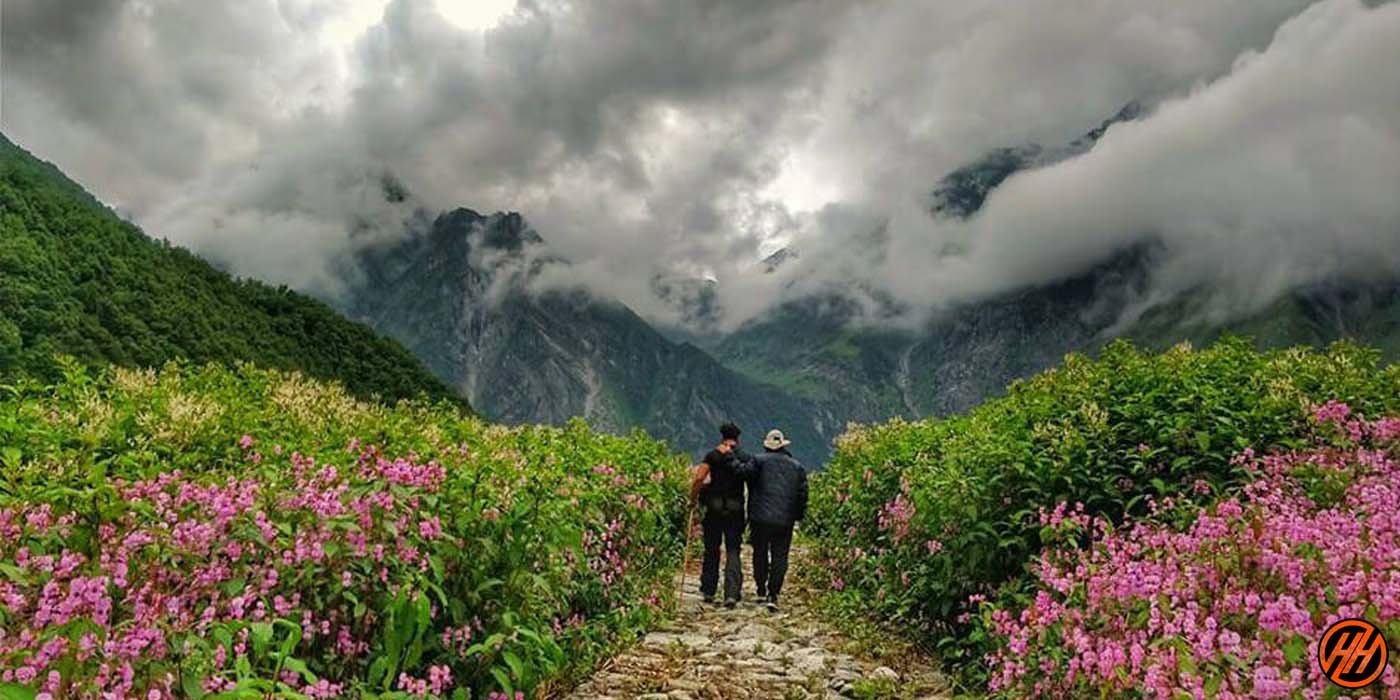 Valley of flowers Monsoon Treks