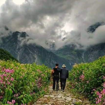 Valley of Flowers National Park View – Stunning landscape of colorful alpine flowers surrounded by the Himalayas.