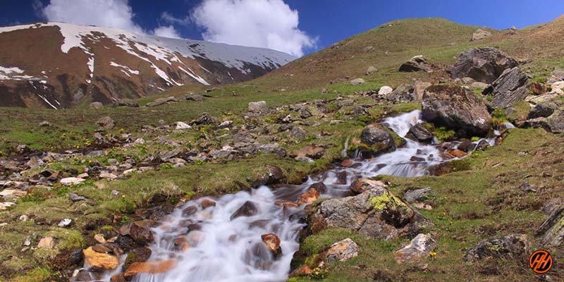 beautiful green meadows