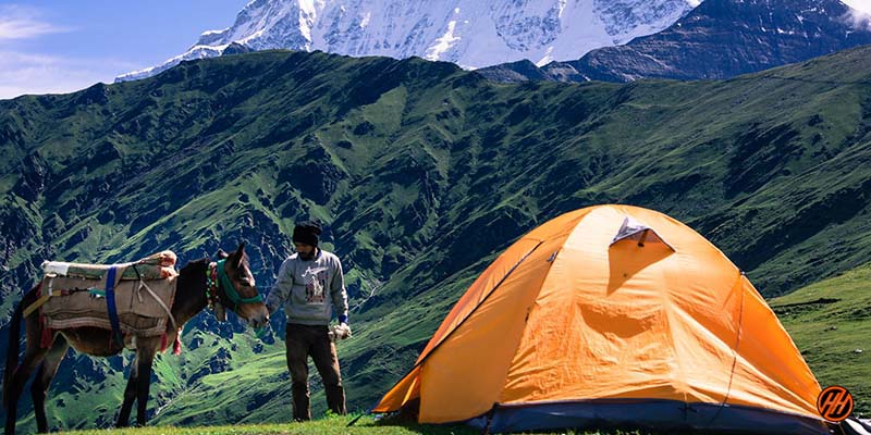 Beautiful Camping in Bedni Bugyal Trek