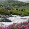 Deo Tibba Base Camp