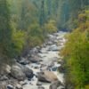 Kheerganga Trek