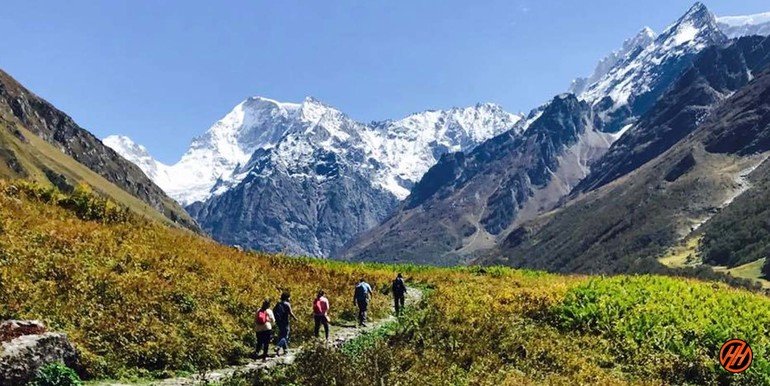 Valley of flowers