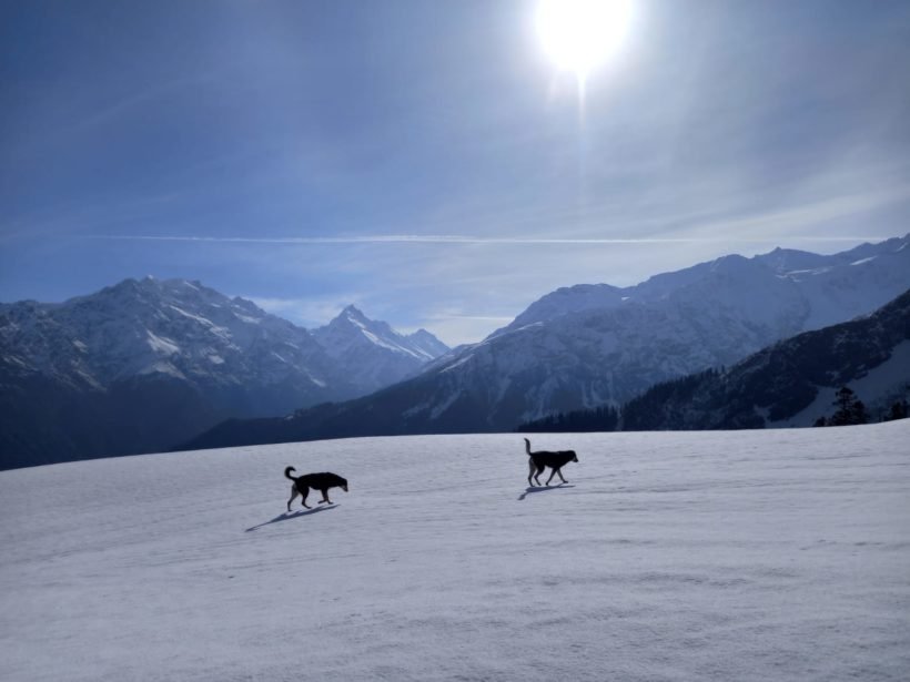Sar Pass Snow Trek – Thrilling Himalayan Adventure with Snow-Covered Trails & Scenic Views
