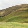 Bedni Bugyal Trek Cost – Affordable Trekking Packages, Inclusions & Budget Guide