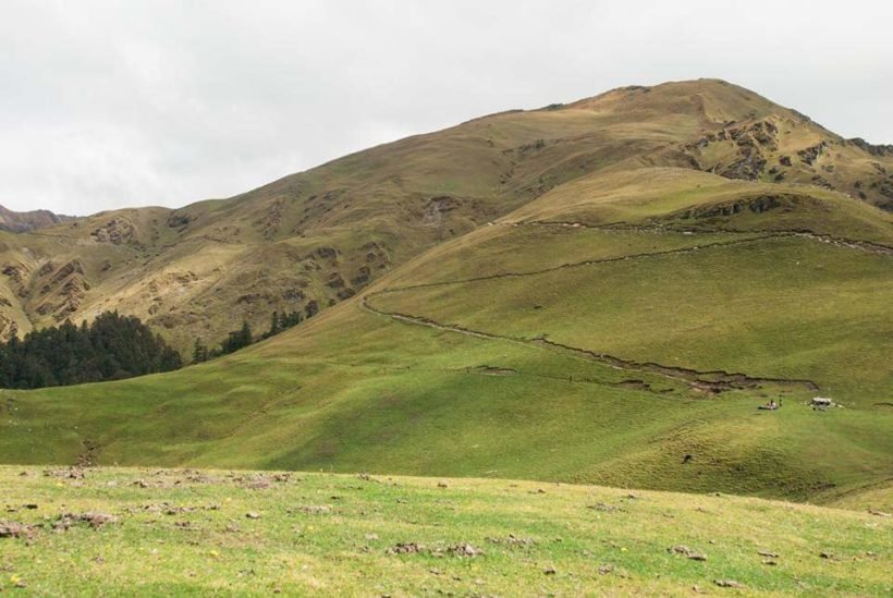 Bedni Bugyal Trek Cost – Affordable Trekking Packages, Inclusions & Budget Guide