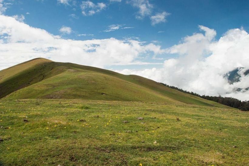 Bedni Bugyal Trek Packages – Best Deals, Itinerary & Cost for a Memorable Himalayan Adventure