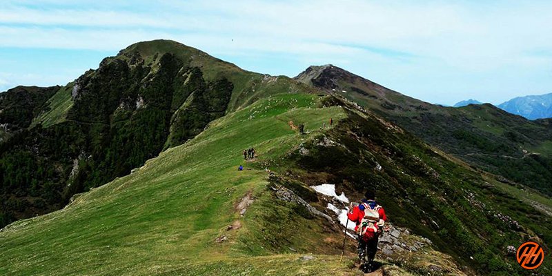 beautiful meadows in Chandrakhani Pass Trek