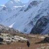 Khimloga Pass Trek