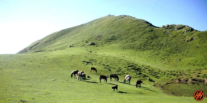 panwali kantha trek