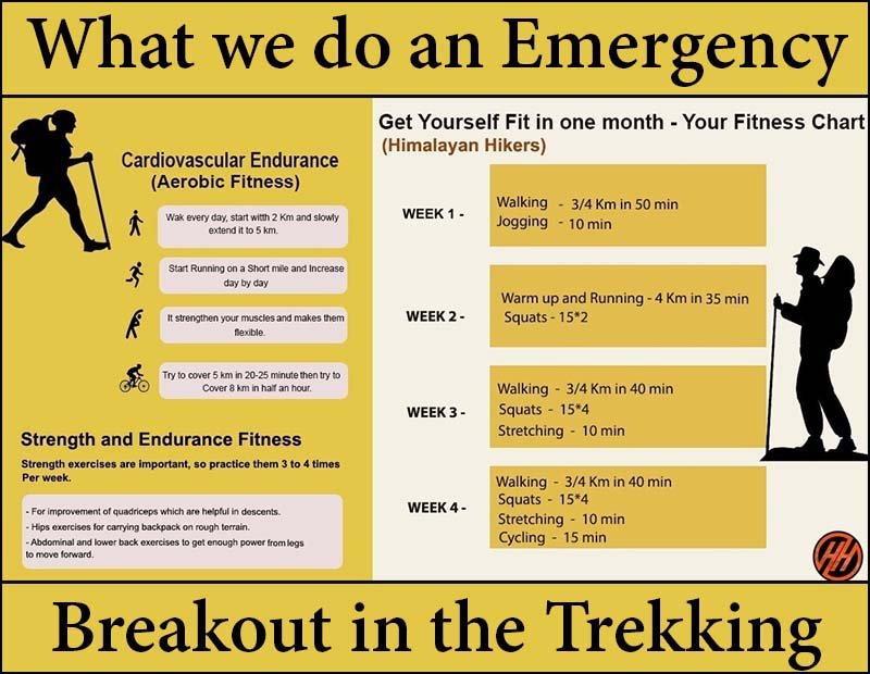 Fitness Chart