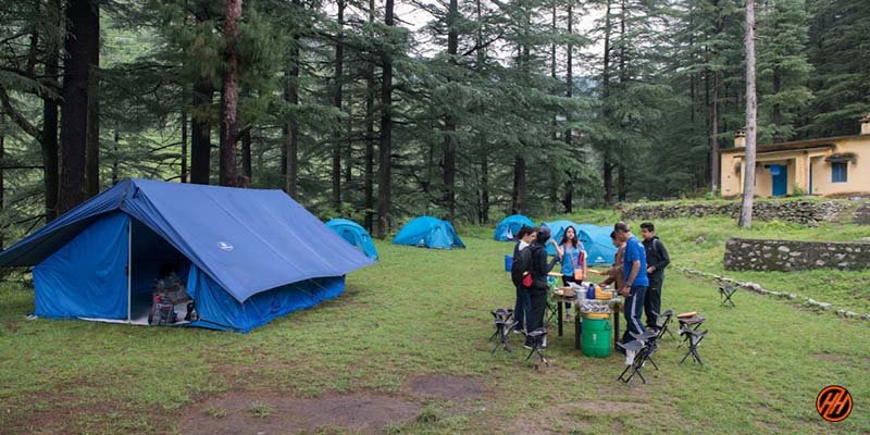 Beautiful Basecamp in Devalsari Lumsu Top