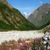 Kagbhusandi Lake Trek