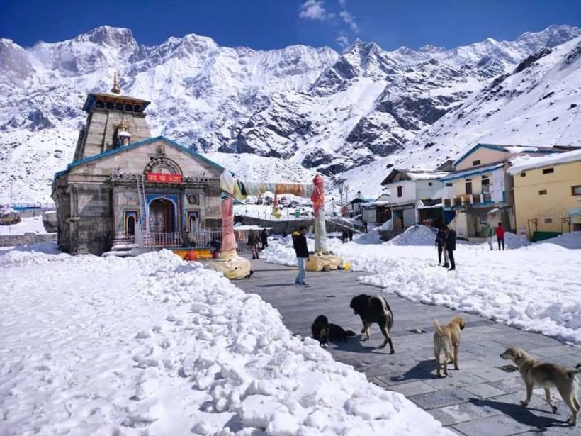 Kedarnath Trek 2024 Kedarnath Yatra, Itinerary, Costs, Date, H.H