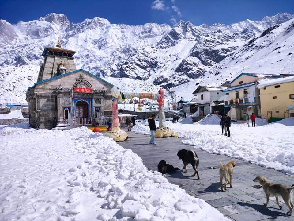 Snow in Kedarnath Trek
