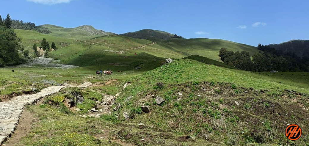 Dayara Bugyal and Dodital Trek