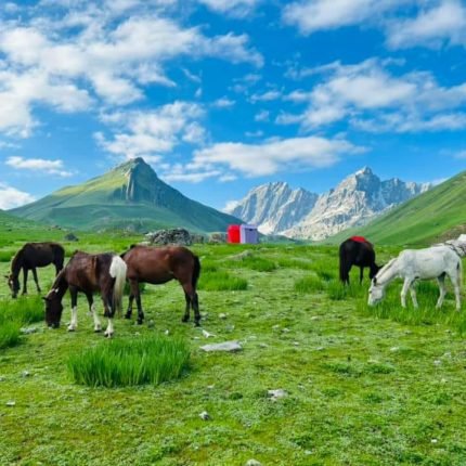 hampta pass trek from delhi