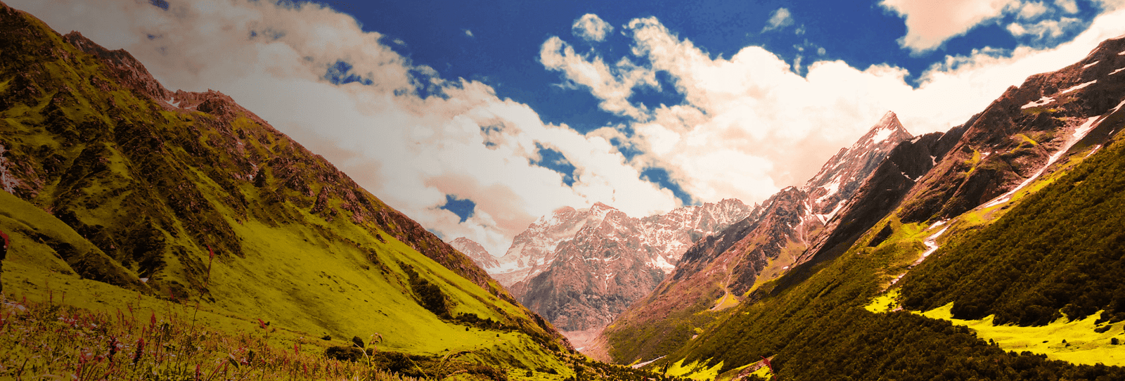 Valley of Flowers – A breathtaking UNESCO World Heritage site featuring vibrant wildflowers, lush meadows, and stunning Himalayan landscapes.