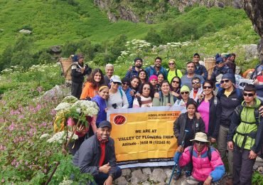Valley of Flowers National Park with vibrant blooms and lush green mountains, a must-visit trekking destination in India