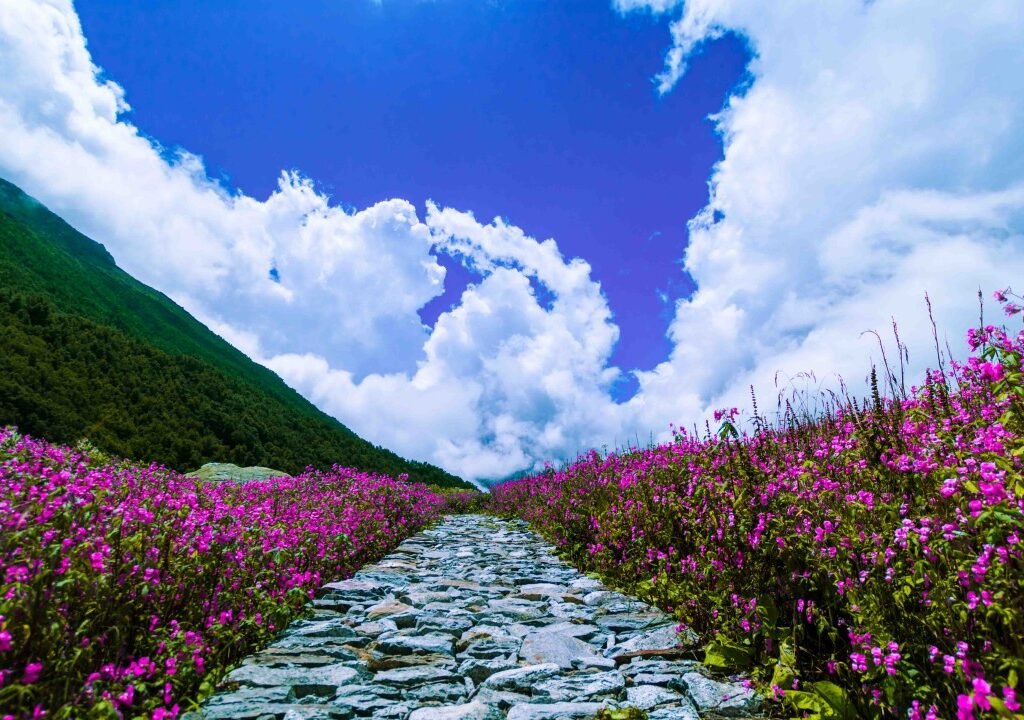 Valley of Flowers Trek 2025 Now Open! Valley of flowers Trek India’s Hidden Heaven Trekking Uttarakhand Famous Monsoon