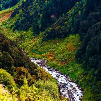 Dev Roopa Trek: A Soul-Stirring Journey to High-Altitude Meadows and Magic Valley