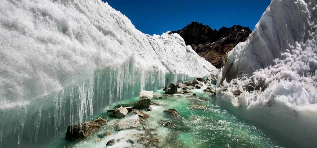 Top National Parks in Uttarakhand and Gangotri National Park is one of them