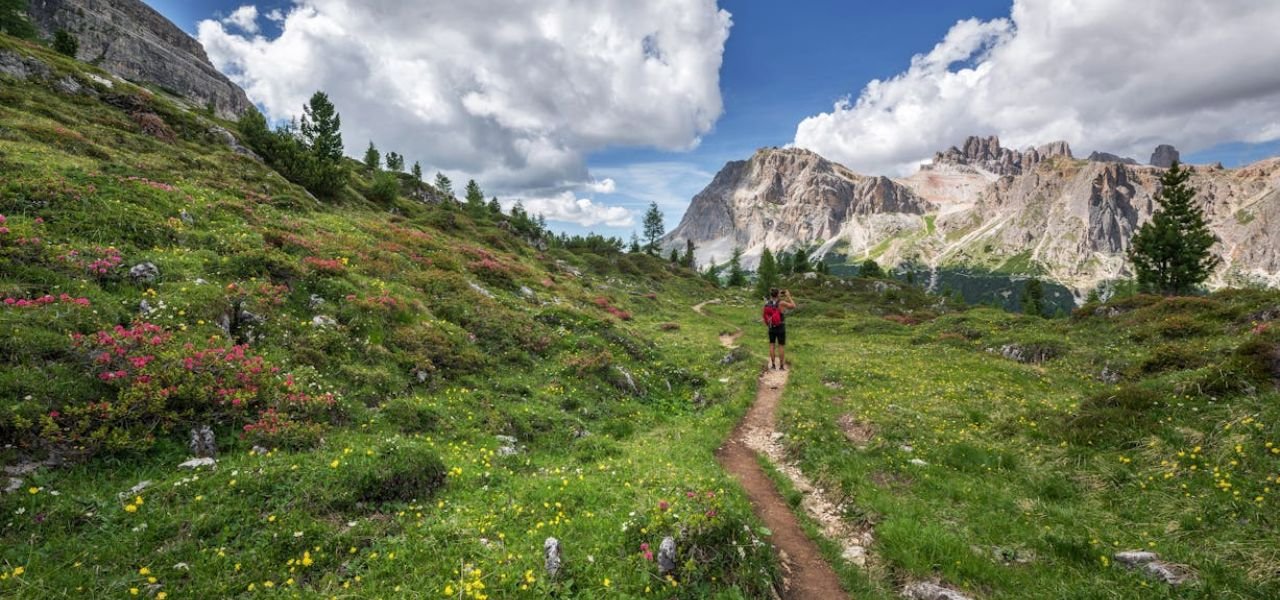 Trekking the Green Line: Laws & Limits in India’s Protected Forests