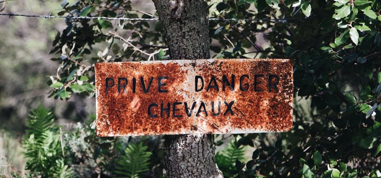 Trekking the Green Line: Laws & Limits in India’s Protected Forests