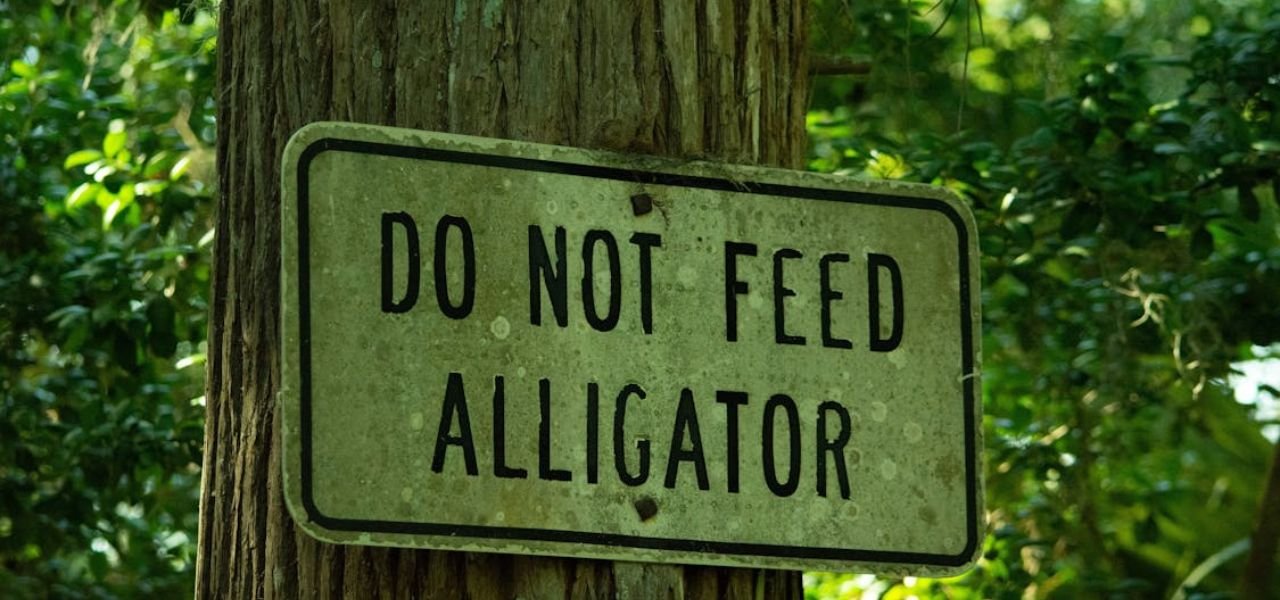 Don’ts in Forest-Protected Trekking Zones