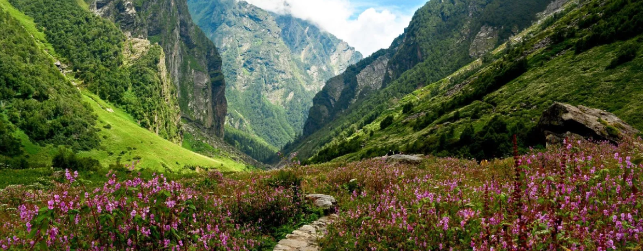 What Makes the Valley of Flowers Trek So Special?