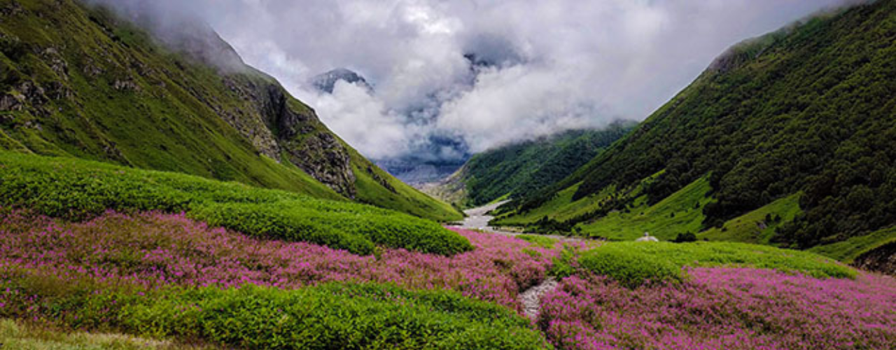 What Makes the Valley of Flowers Trek So Special?