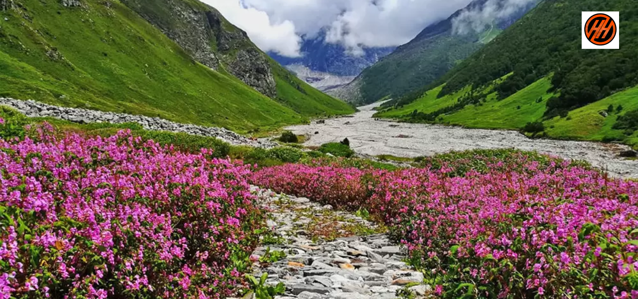 How to Reach Valley of Flowers Trek from Delhi and Dehradun – Complete Guide 1 Valley of Flowers Trek with full package details, itinerary, best time to visit, difficulty level