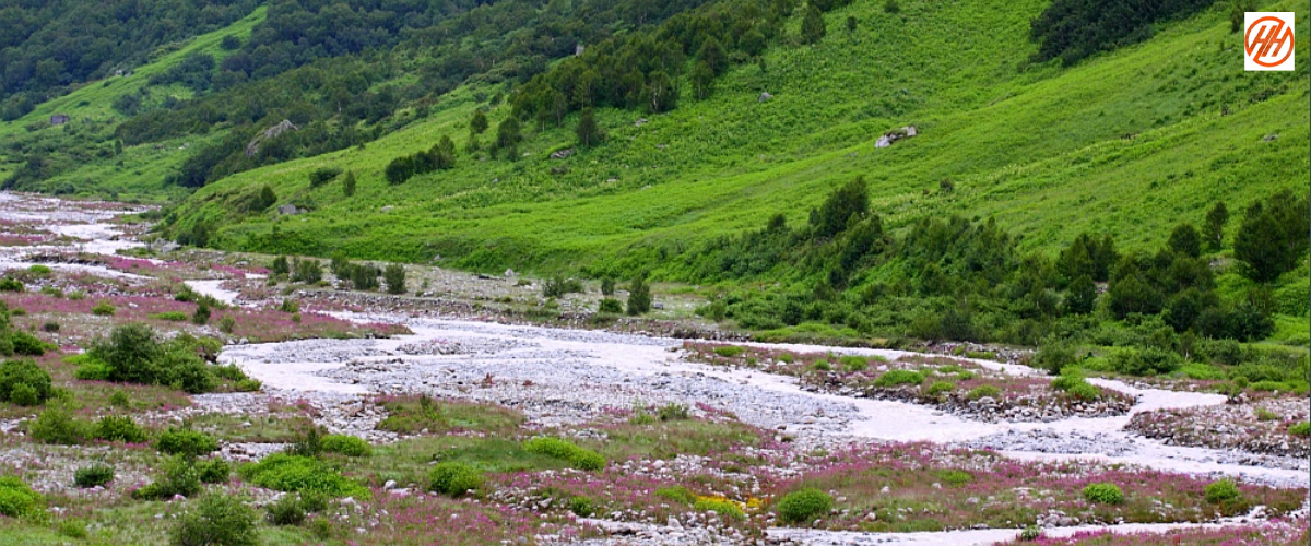 Himalayan Harmony: Lakshman Ganga and Alaknanda Rivers– A Complete Guide