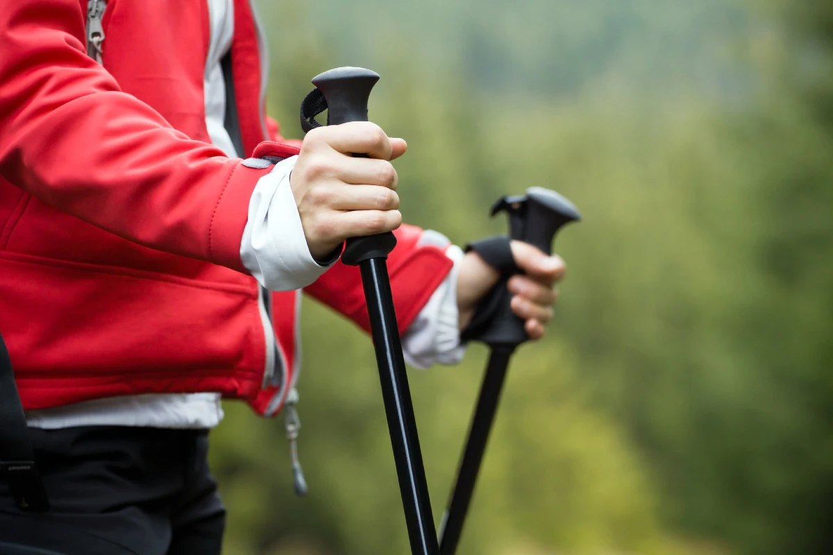 Trekking Poles Are a Must-Have for Trekkers